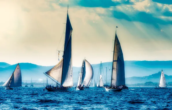 Picture sea, France, boats, sails, sailboats, regatta, boat