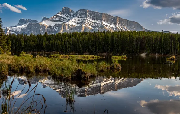 Forest, snow, mountains, lake, reflection, blue, rocks, shore