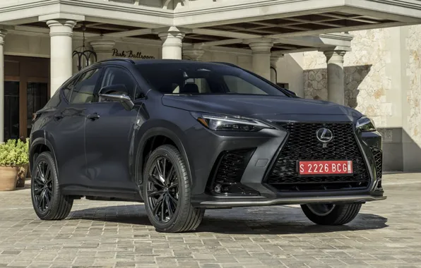 Pavers, power, columns, exterior, Lexus NX 350 F Sport