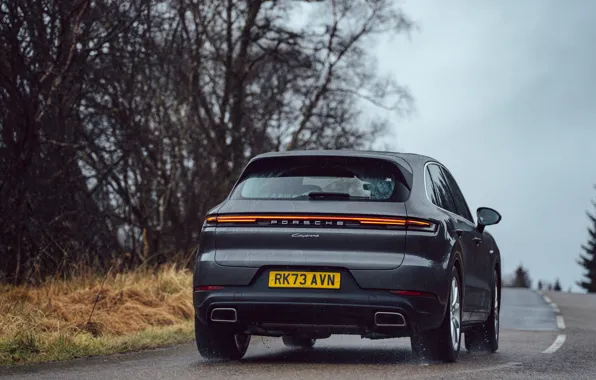 Porsche, Cayenne, Porsche Cayenne E-Hybrid