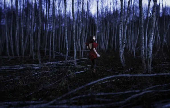 Picture forest, girl, night