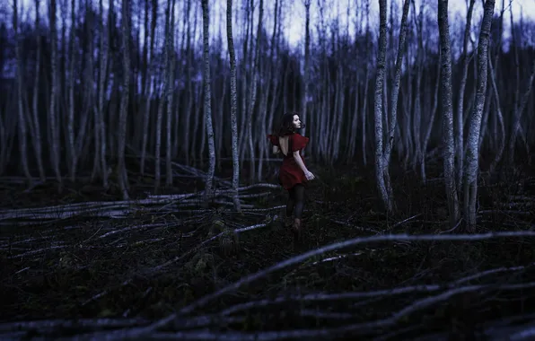 Forest, girl, night