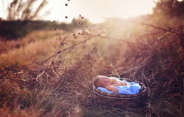 Nature, background, baby