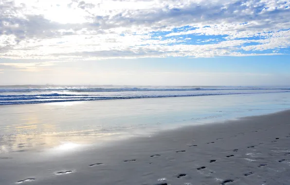 Sand, the sky, landscape, traces, nature