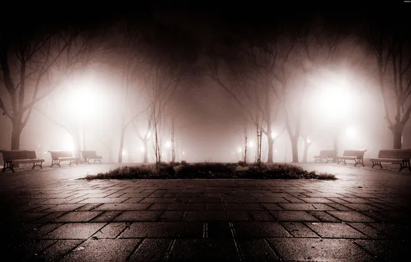 Picture night, fog, Park