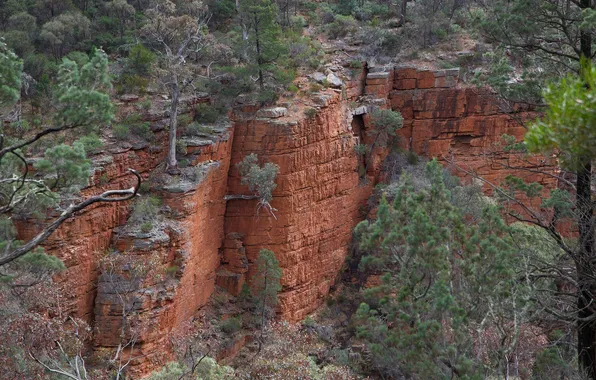 Trees, landscape, mountains, rocks