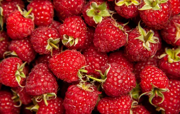 Picture berries, raspberry, a lot
