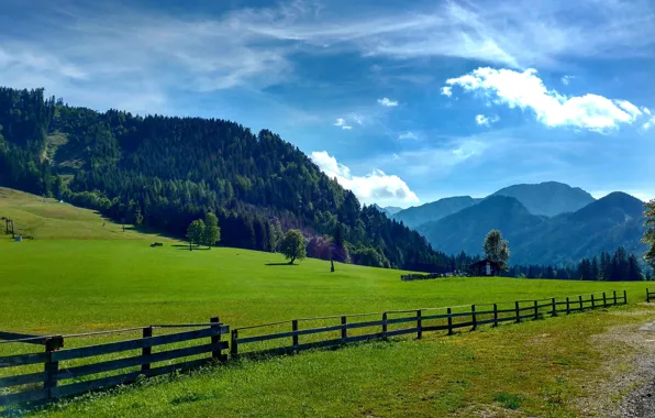 Field, forest, summer, clouds, trees, mountains, nature, the fence