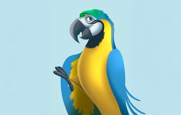 Picture macaw, vibrant