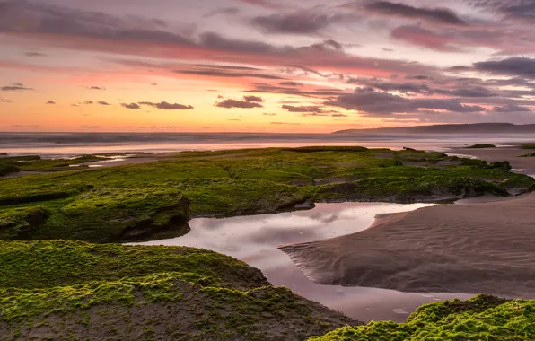 Sand, the sky, clouds, sunset, stones, shore, dal, pond