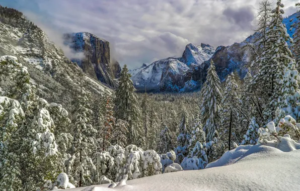 Winter, forest, snow, mountains, ate, valley, CA, California