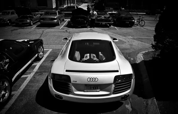 Picture audi, car, black and white