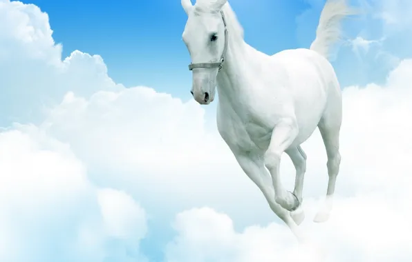 The sky, clouds, horse, feet, heaven, horse, tail, white