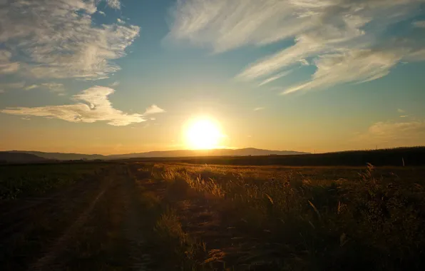 Field, the sky, the sun, landscape, photos, sunsets