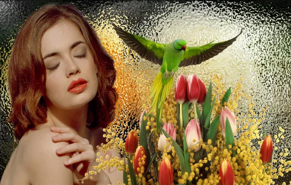 Girl, beauty, spring, parrot, tulips, Mimosa