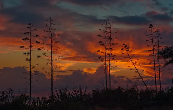 Picture the sky, sunset, Kauai, Hawaii, Kauai, The Hawaiian Islands