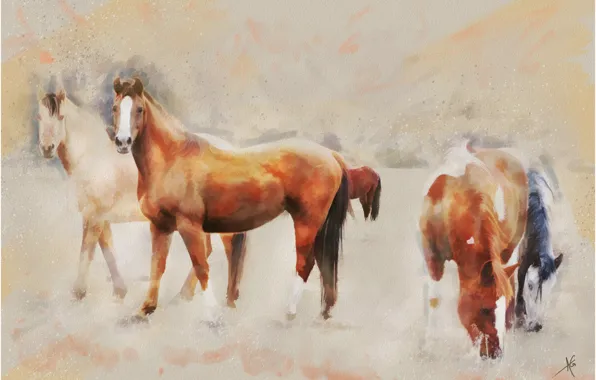 Field, graphics, horses, picture, horse, painting, pastel colors, Wallpaper from lolita777