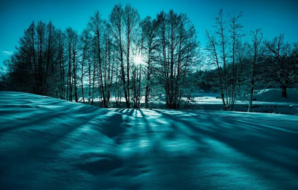Winter, the sun, rays, snow, trees, nature