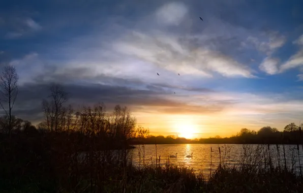 The sky, the sun, clouds, landscape, sunset, birds, nature, lake