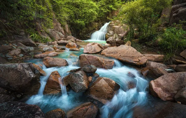Light, river, stones, rocks, for, waterfall, stream, fern