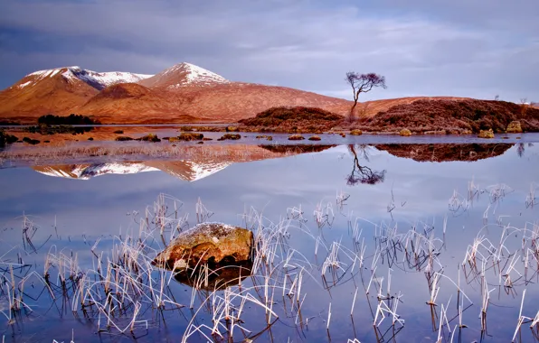 Picture winter, the sky, mountains, lake, reflection, tree, hills