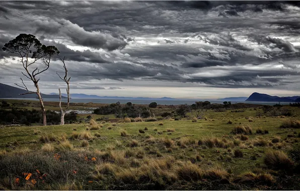 Picture island, Tasmania, Maria