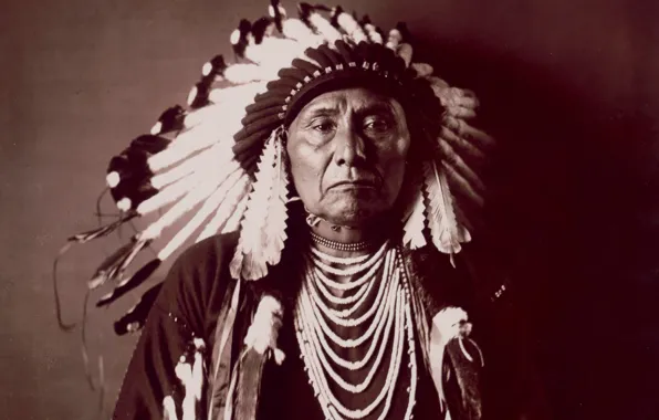 Leader, chief, native american, nose pierces, namesake, chief joseph, Hin-mah-too-yah-lat-kekt