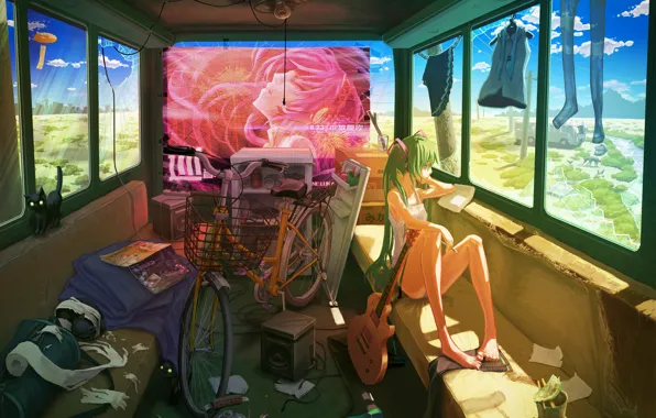 Cat, girl, bike, clothing, guitar, bus, vocaloid, hatsune miku