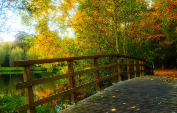 Picture autumn, forest, leaves, water, trees, bridge, nature, Park