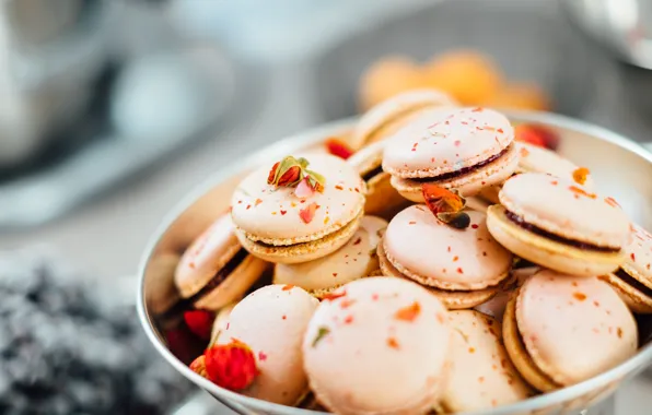 Food, cakes, sweet, macaron