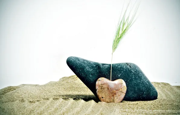 Picture sand, wheat, stones, background, widescreen, Wallpaper, mood, heart