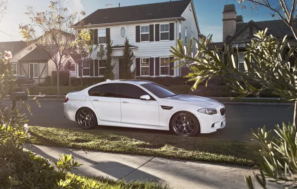 Picture white, trees, bmw, BMW, home, white, f10
