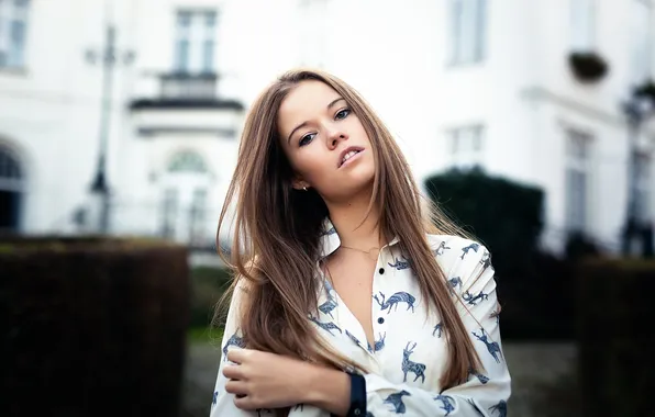 Shirt, sponge, the beauty, teeth, Maxime Prokaz