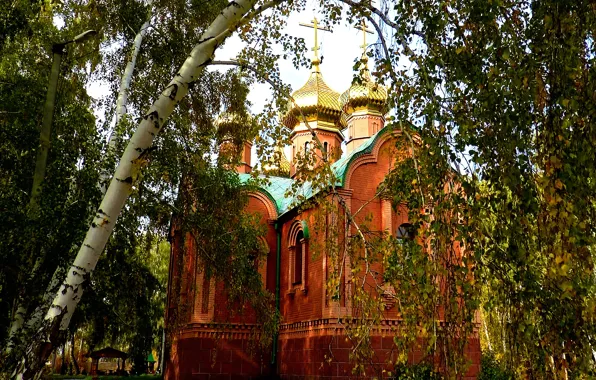 Autumn, Temple, chapel, birch, OMSK