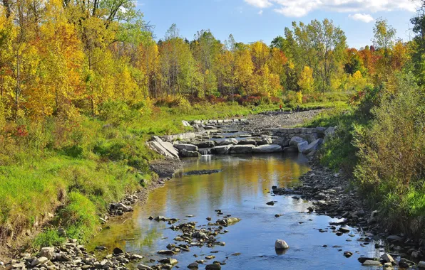 Picture autumn, forest, the sky, river, stones