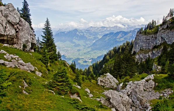 Picture the sky, clouds, trees, mountains, stones, rocks, spruce