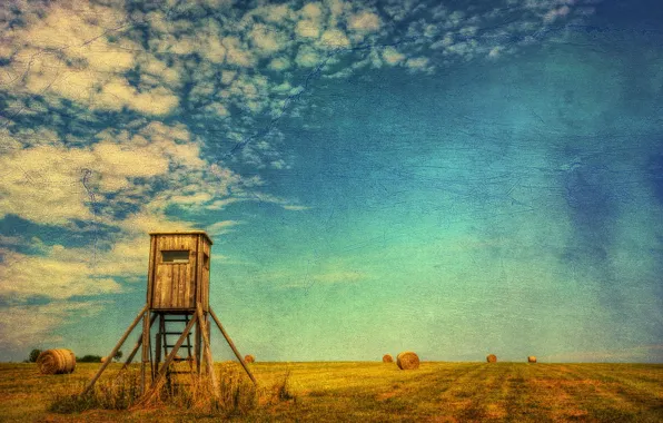 Field, summer, landscape, style, hay