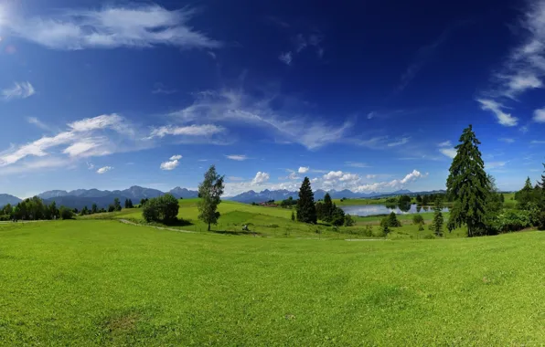 Field, the sky, trees, lake, glade, the fence