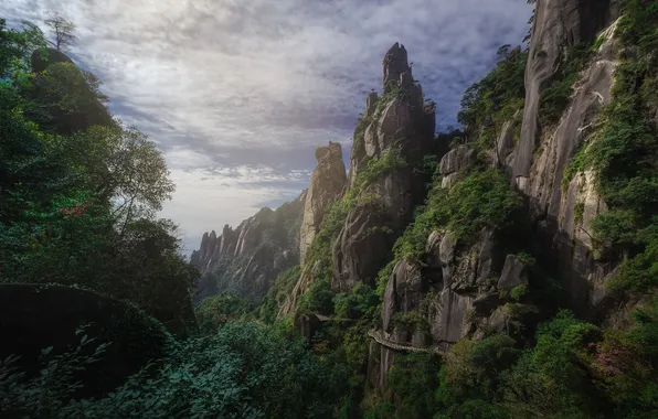 Forest, clouds, trees, mountains, rocks, vegetation, the slopes, tops
