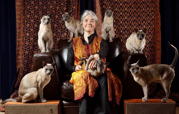 Look, cats, face, smile, background, sweetheart, woman, cats