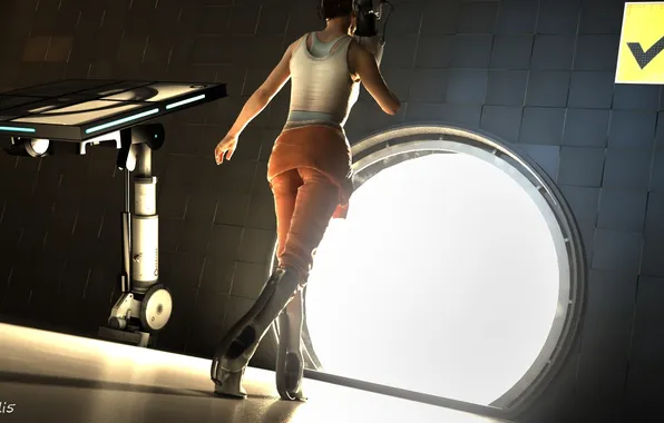 Picture girl, the game, back, the portal, portal, cube, chell