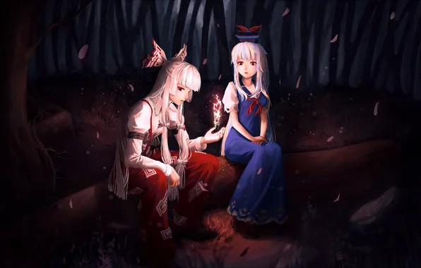 Forest, night, girls, magic, petals, log, touhou, kamishirasawa keine