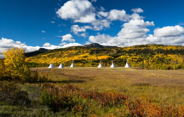 Field, autumn, forest, clouds, mountains, blue, dal, shrubs