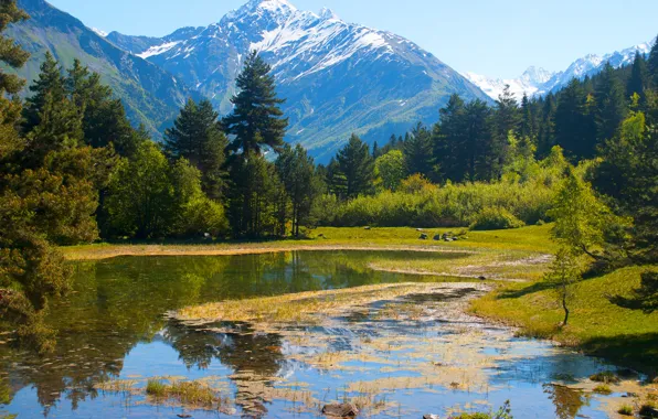 The sky, grass, water, trees, mountains, Georgia