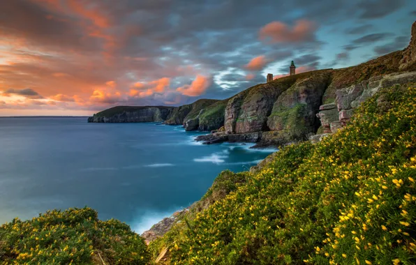 Sea, greens, the sky, clouds, flowers, mountains, yellow, rocks