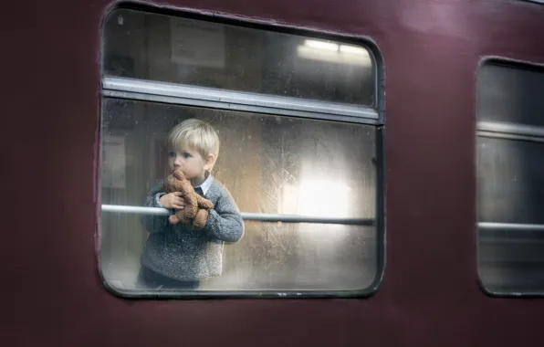 Boy, window, the car, bear