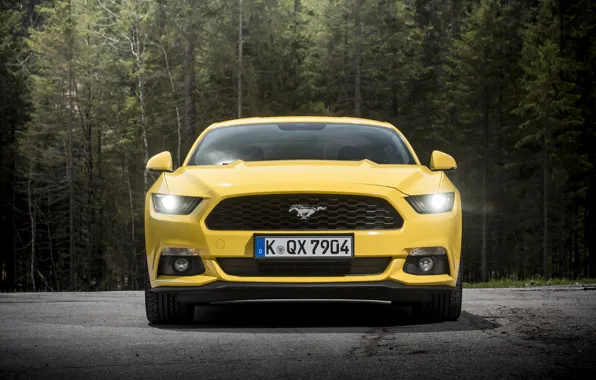 Coupe, Mustang, Ford, Mustang, Ford, 2015, EU-spec