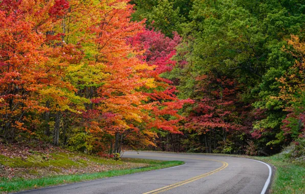 Road, autumn, leaves, trees, Park, road, landscape, nature