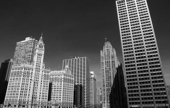 Picture skyscrapers, black and white, Chicago, Chicago