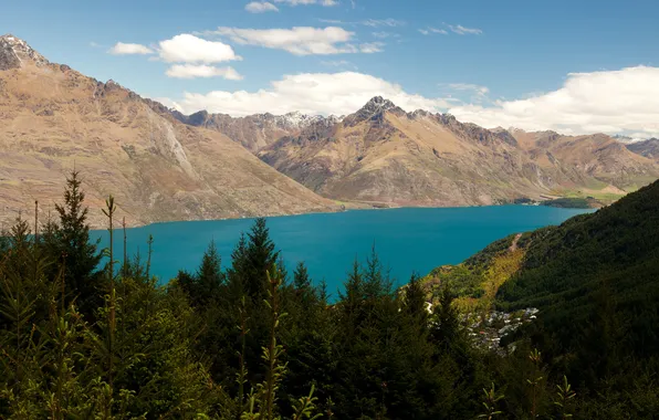 Clouds, trees, mountains, lake, New Zealand, panorama, forest, Wakatipu
